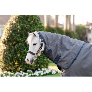 Horseware Rhino Hexstop Plus Poney Turnout 0g Decke Horseware Rhino Hexstop Plus Poney Turnout 0g Decke