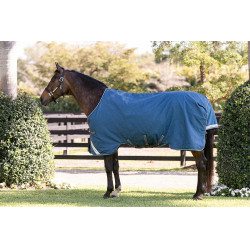 Horseware Rhino Turnout-Decke 100g Marine / Grau / Aqua / Grau Marineblau