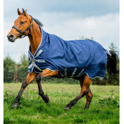 Horseware Rhino Wug Turnout 0g Decke Schwarz / Titan Grau / Klassisches Blau Horseware Rhino Wug Turnout 0g Decke Schwarz / Titan Grau / Klassisches Blau