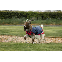 Horseware Ziegen-Abschwitzdecke 0g Marine / Rot Blau