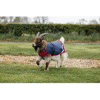 Horseware Ziegen-Abschwitzdecke 0g Marine / Rot Blau