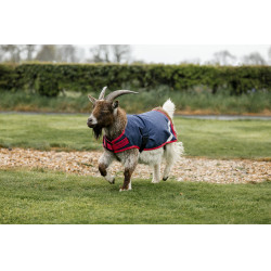 Horseware Ziegen-Abschwitzdecke 0g Marine / Rot Blau Horseware Ziegen-Abschwitzdecke 0g Marine / Rot Blau