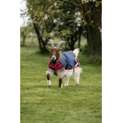 Horseware Ziegen-Abschwitzdecke 0g Marine / Rot Blau Horseware Ziegen-Abschwitzdecke 0g Marine / Rot Blau
