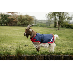 Horseware Ziegen-Abschwitzdecke 0g Marine / Rot Blau Horseware Ziegen-Abschwitzdecke 0g Marine / Rot Blau