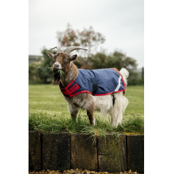 Horseware Ziegen-Abschwitzdecke 0g Marine / Rot Blau Horseware Ziegen-Abschwitzdecke 0g Marine / Rot Blau