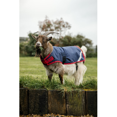 Horseware Ziegen-Abschwitzdecke 0g Horseware Ziegen-Abschwitzdecke 0g
