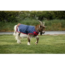 Horseware Ziegen-Abschwitzdecke 0g Marine / Rot Blau Horseware Ziegen-Abschwitzdecke 0g Marine / Rot Blau