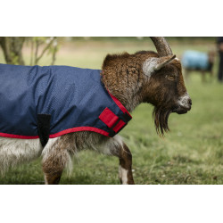 Horseware Ziegen-Abschwitzdecke 0g Marine / Rot Blau Horseware Ziegen-Abschwitzdecke 0g Marine / Rot Blau