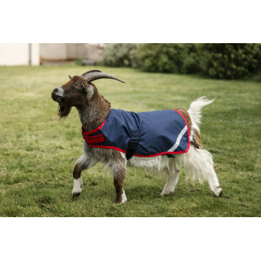 Horseware Ziegen-Abschwitzdecke 0g Horseware Ziegen-Abschwitzdecke 0g