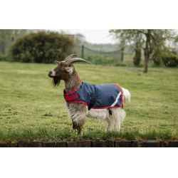 Horseware Ziegen-Abschwitzdecke 0g Marine / Rot Blau Horseware Ziegen-Abschwitzdecke 0g Marine / Rot Blau