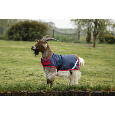 Horseware Ziegen-Abschwitzdecke 0g Horseware Ziegen-Abschwitzdecke 0g