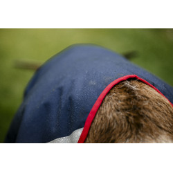 Horseware Ziegen-Abschwitzdecke 0g Marine / Rot Blau Horseware Ziegen-Abschwitzdecke 0g Marine / Rot Blau