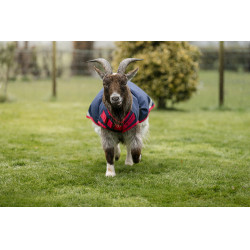 Horseware Ziegen-Abschwitzdecke 0g Marine / Rot Blau Horseware Ziegen-Abschwitzdecke 0g Marine / Rot Blau