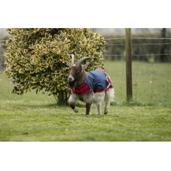 Horseware Ziegen-Abschwitzdecke 0g Marine / Rot Blau Horseware Ziegen-Abschwitzdecke 0g Marine / Rot Blau