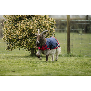 Horseware Ziegen-Abschwitzdecke 0g Horseware Ziegen-Abschwitzdecke 0g