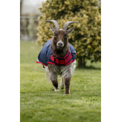 Horseware Ziegen-Abschwitzdecke 0g Marine / Rot Blau Horseware Ziegen-Abschwitzdecke 0g Marine / Rot Blau