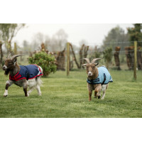 Horseware Ziegen-Abschwitzdecke 0g Marine / Rot Blau