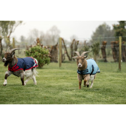 Horseware Ziegen-Abschwitzdecke 0g Horseware Ziegen-Abschwitzdecke 0g