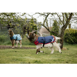 Horseware Ziegen-Abschwitzdecke 0g Horseware Ziegen-Abschwitzdecke 0g