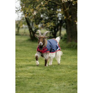 Horseware Ziegen-Decke 200g Horseware Ziegen-Decke 200g