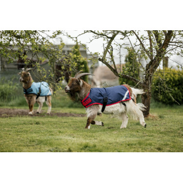 Horseware Ziegen-Decke 200g Horseware Ziegen-Decke 200g
