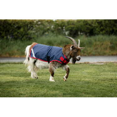 Horseware Ziegen-Decke 200g Horseware Ziegen-Decke 200g