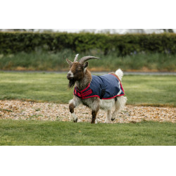 Horseware Ziegen-Decke 200g Marine / Rot Blau
