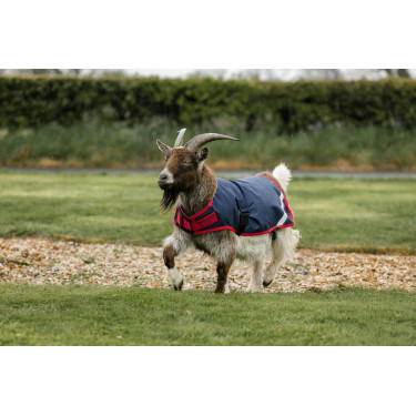 Horseware Ziegen-Decke 200g Horseware Ziegen-Decke 200g