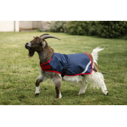 Horseware Ziegen-Decke 200g Marine / Rot Blau