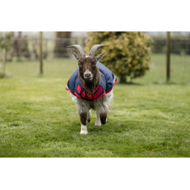 Horseware Ziegen-Decke 200g Horseware Ziegen-Decke 200g
