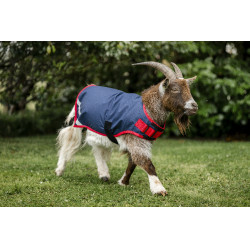 Horseware Ziegen-Decke 200g Marine / Rot Blau