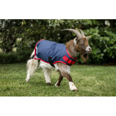 Horseware Ziegen-Decke 200g Horseware Ziegen-Decke 200g