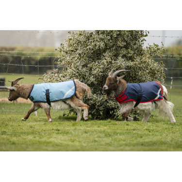Horseware Ziegen-Decke 200g Horseware Ziegen-Decke 200g