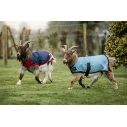 Horseware Ziegen-Decke 200g