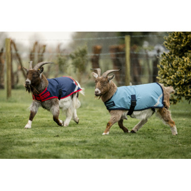 Horseware Ziegen-Decke 200g Horseware Ziegen-Decke 200g