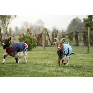 Horseware Ziegen-Decke 200g Horseware Ziegen-Decke 200g