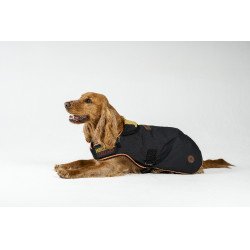 Hundedecke Horseware Newmarket Weißgold