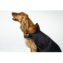 Hundedecke Horseware Newmarket Weißgold