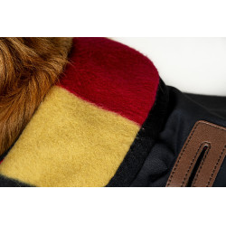 Hundedecke Horseware Newmarket Weißgold