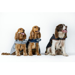 Hundedecke Horseware Newmarket