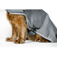Hundedecke Horseware Newmarket Weißgold Hundedecke Horseware Newmarket Weißgold