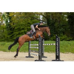 Pikeur New Rodrigo Grip Kniebesatz Reithose 7603 Herren Sports Stahlgrau Pikeur New Rodrigo Grip Kniebesatz Reithose 7603 Herren Sports Stahlgrau