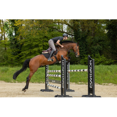 Pikeur New Rodrigo Grip Kniebesatz Reithose 7603 Herren Sports Stahlgrau Pikeur New Rodrigo Grip Kniebesatz Reithose 7603 Herren Sports Stahlgrau