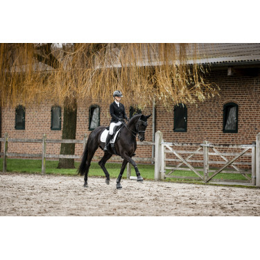 Handschuhe Horseware AA Platinium Schwarz
