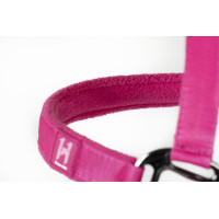 Halfter und Führstrick Horseware Newmarket Rose Witney Rosa