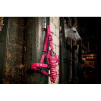 Halfter und Führstrick Horseware Newmarket Rose Witney Rosa