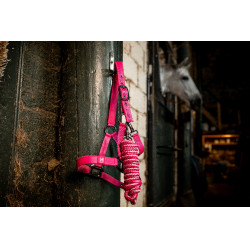 Halfter und Führstrick Horseware Newmarket Rose Witney Rosa