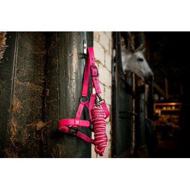 Halfter und Führstrick Horseware Newmarket Rose Witney Rosa