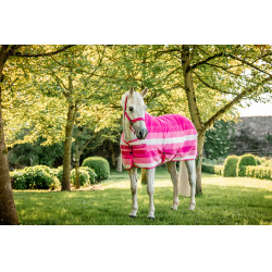 Halfter und Führstrick Horseware Newmarket Rose Witney Rosa