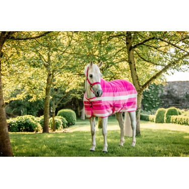 Halfter und Führstrick Horseware Newmarket Rose Witney Rosa